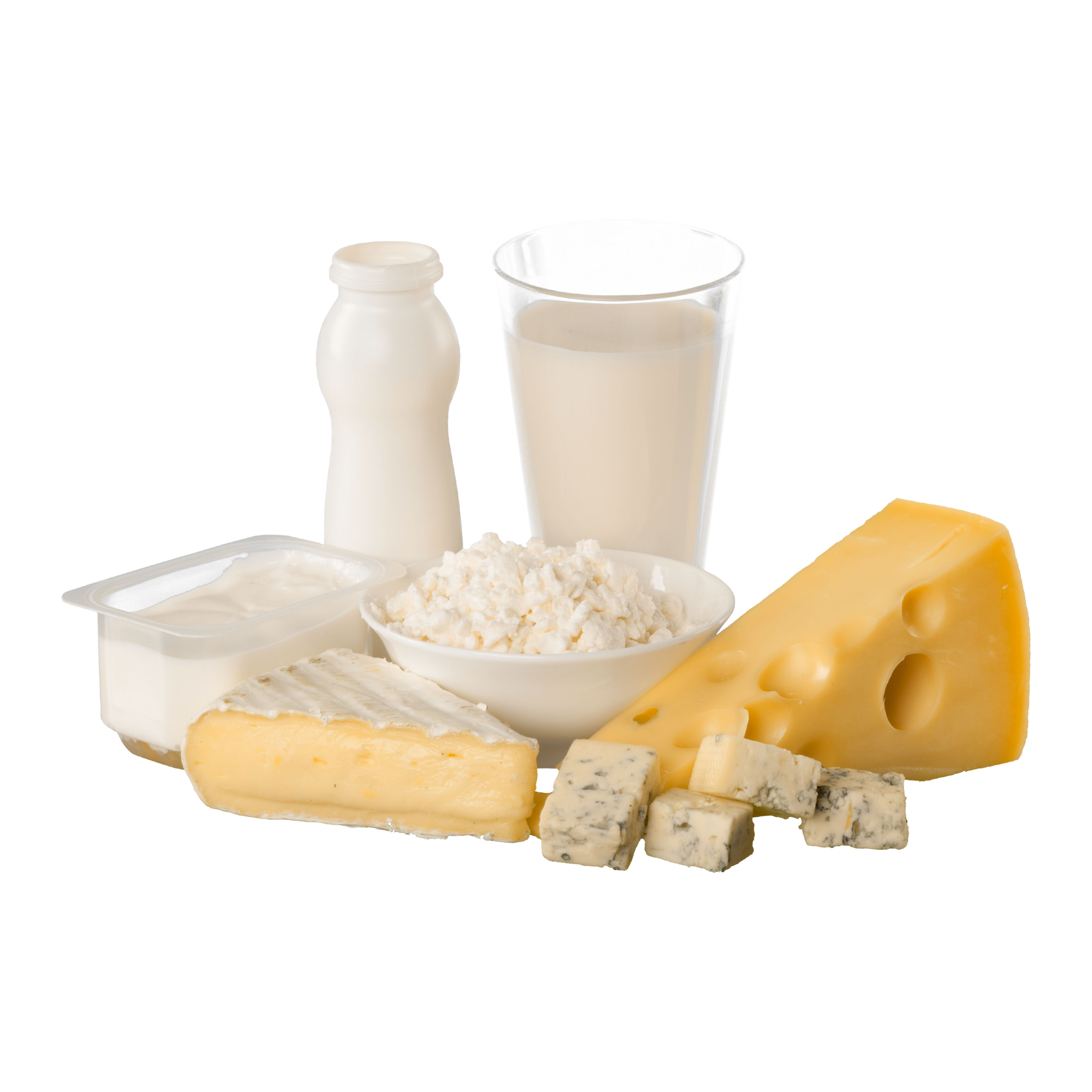 Dairy Delights